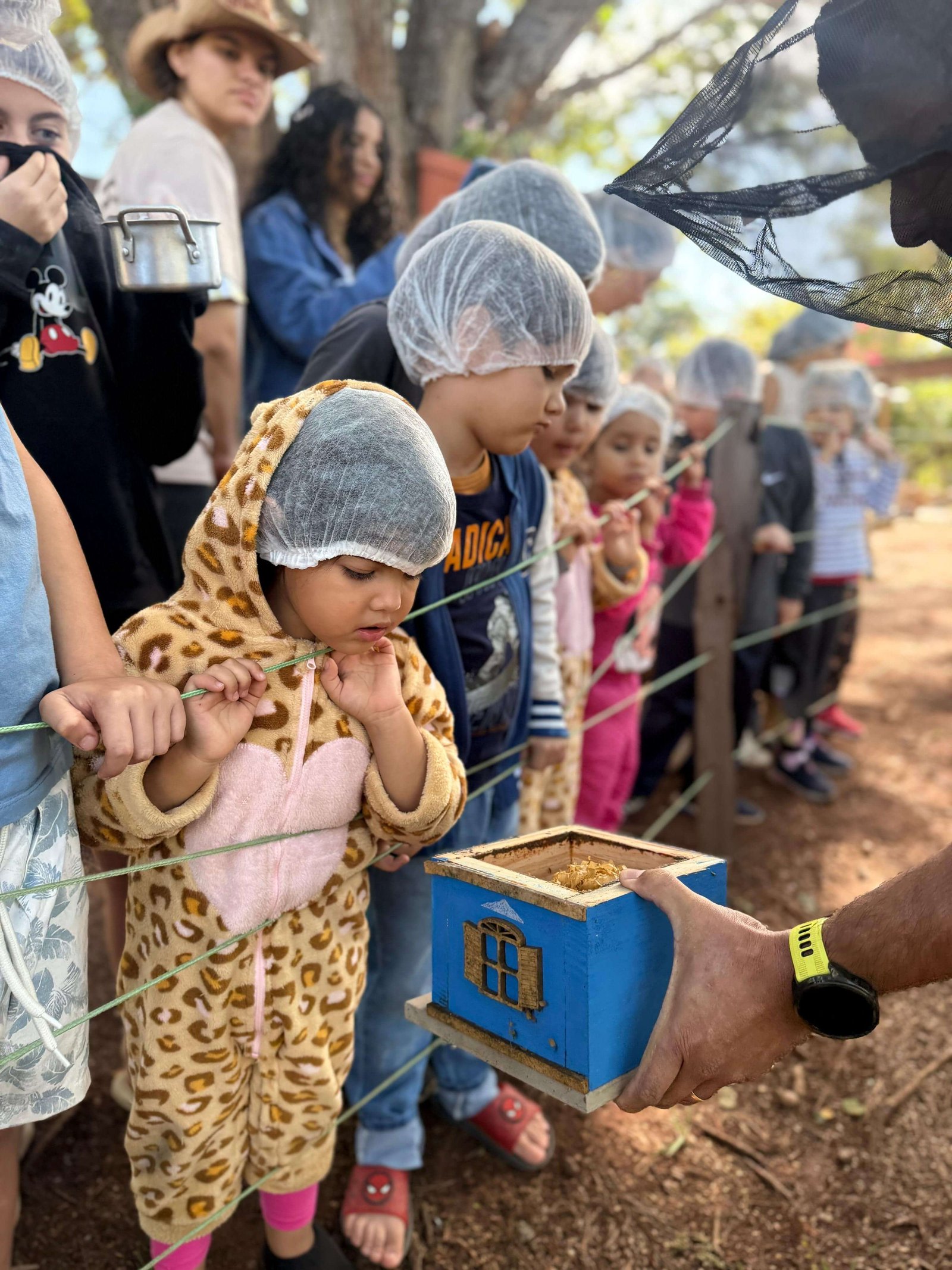 Universo das Abelhas