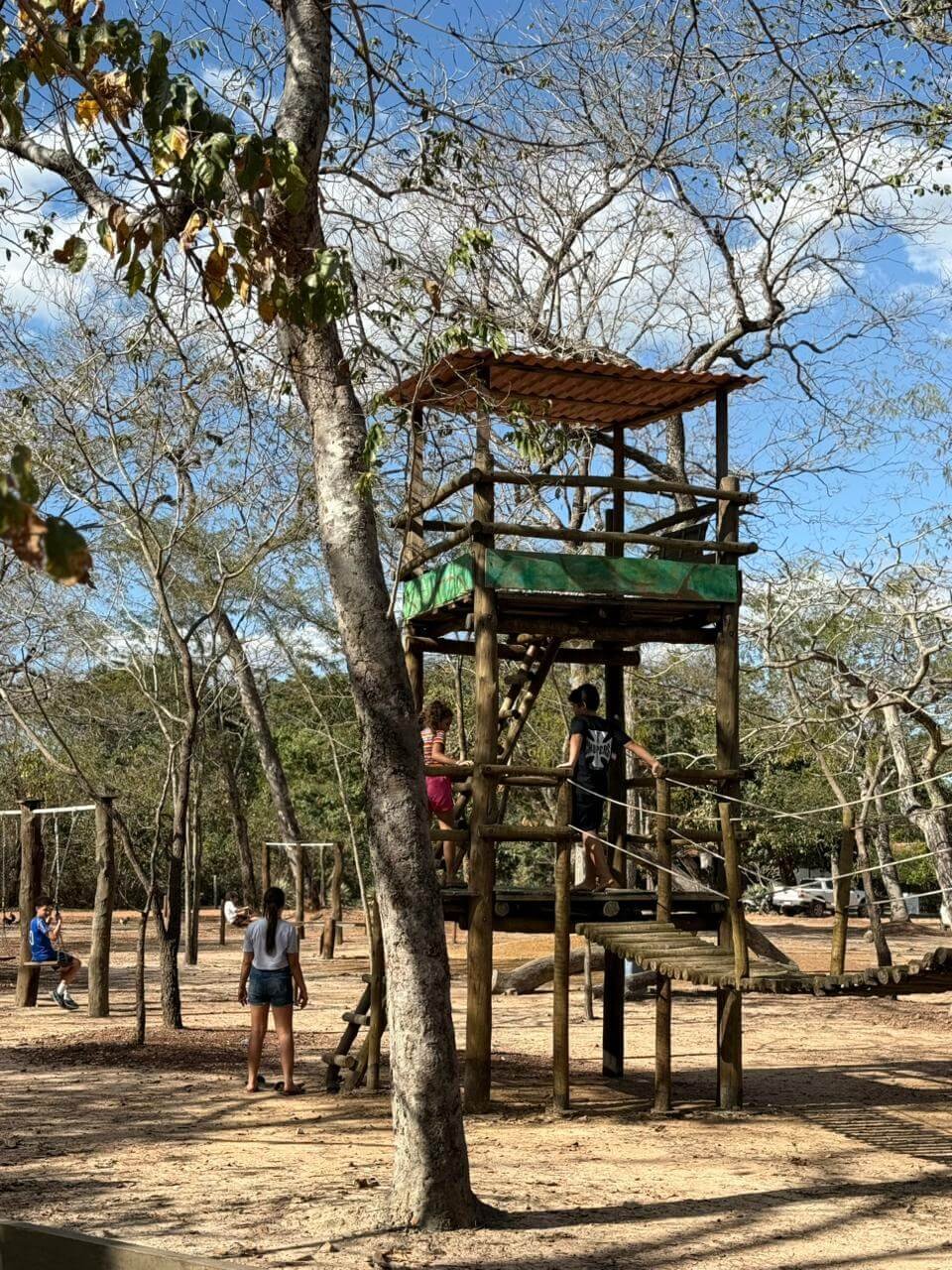 Interação com Coelhos