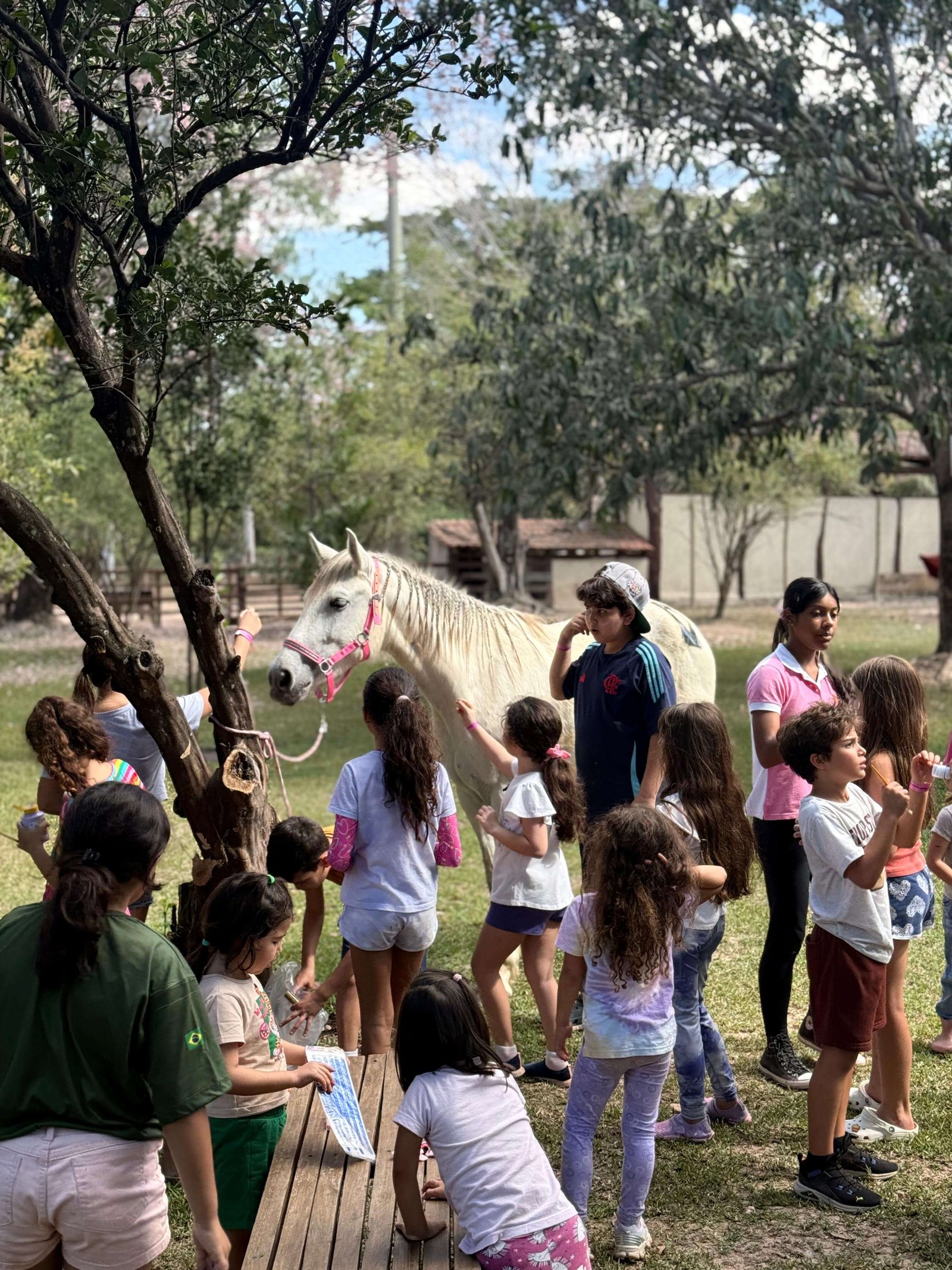Interação com Animais