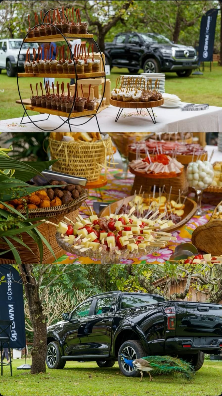 Casamento no Rancho